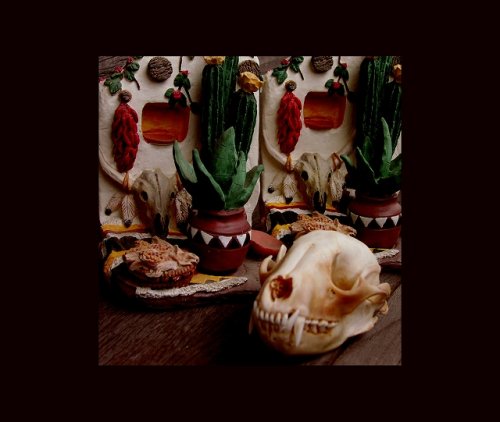 画像クリックで大きく確認できます　Click↓1: ラクーン スカル/Raccoon Skull