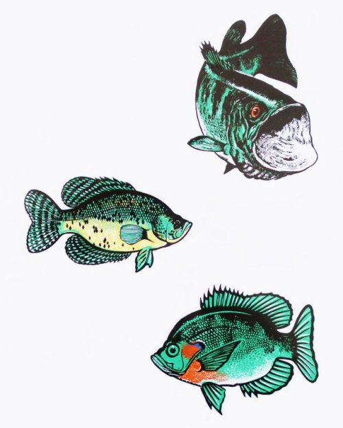 画像クリックで大きく確認できます　Click↓1: アウトドア仕様 防水ステッカー Bass Crappie Bluegill