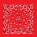 バンダナ ハバハンク HAV-A-HANK ペイズリー/Bandana Paisley
