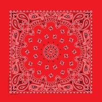 バンダナ ハバハンク HAV-A-HANK ペイズリー/Bandana Paisley