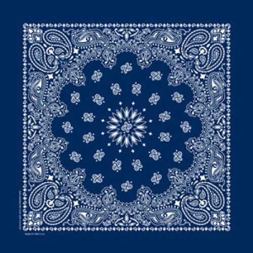 画像クリックで大きく確認できます　Click↓1: バンダナ ハバハンク HAV-A-HANK ペイズリー/Bandana Paisley