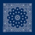 バンダナ ハバハンク HAV-A-HANK ペイズリー/Bandana Paisley