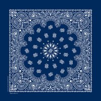バンダナ ハバハンク HAV-A-HANK ペイズリー/Bandana Paisley