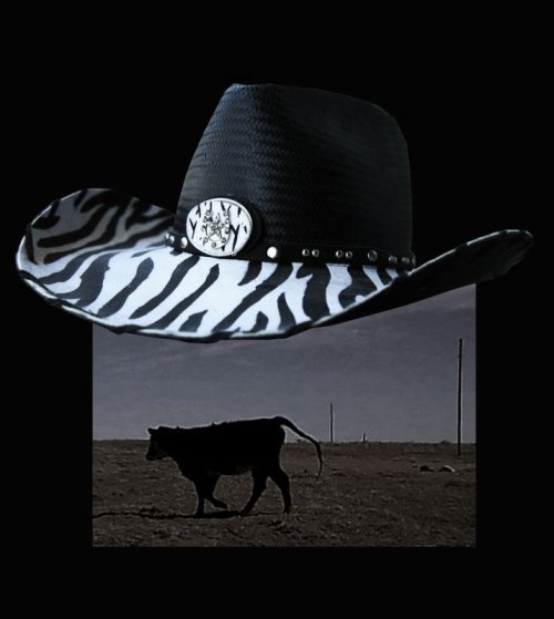 画像クリックで大きく確認できます　Click↓1: ゼブラストライプ ビル カウボーイ ストローハット（ブラック）/Cowboy Straw Hat