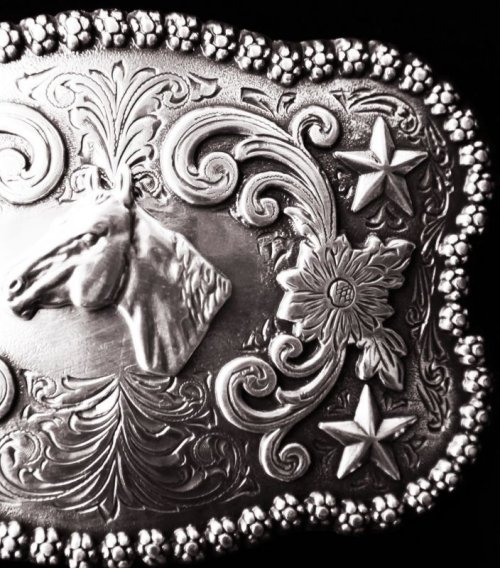 画像クリックで大きく確認できます　Click↓2: ノコナ ベルト バックル ホースヘッド/Nocona Belt Buckle