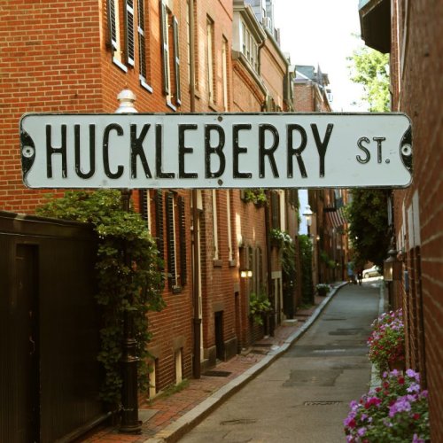 画像クリックで大きく確認できます　Click↓1: アメリカン ストリート サイン（HUCKLEBERRY ST.）/Street Sign