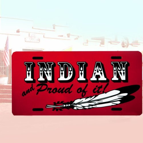 画像クリックで大きく確認できます　Click↓1: ライセンスプレート インディアン/License Plate