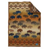 ペンドルトン プレーリーラッシュアワー ムチャチョ ブランケット/Pendleton Prairie Rush Hour Crib Blanket