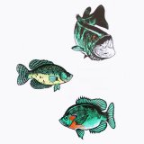 アウトドア仕様 防水ステッカー Bass Crappie Bluegill