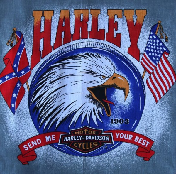 画像1: ハーレーダビッドソン バンダナ（ブラック・イーグル SEND ME YOUR BEST）/Harley Davidson Bandana