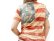画像2: レディース ウエスタン 半袖Tシャツ（星条旗）/American Flag Short Sleeve T-shirt(Women's) (2)