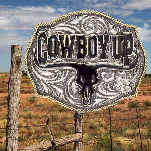 画像クリックで大きく確認できます　Click↓1: モンタナシルバースミス カウボーイアップ ロングホーン スカル ベルト バックル/Montana Silversmiths Cowboy Up Longhorn Skull Belt Buckle