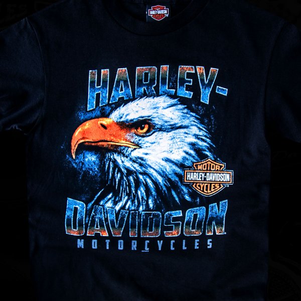 画像1: ハーレーダビッドソン アメリカンイーグル 半袖Tシャツ（ブラック）/Harley Davidson American Eagle Shortsleeve T-shirt(Black)