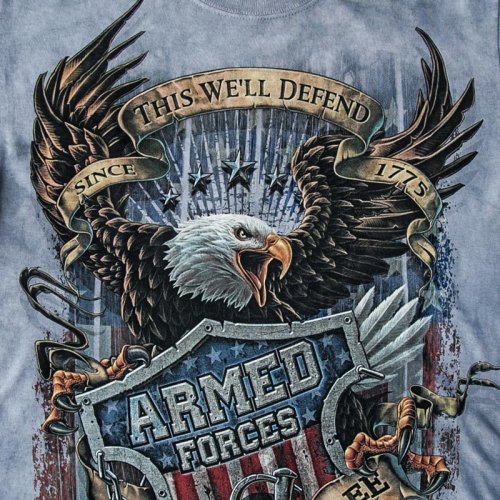 画像クリックで大きく確認できます　Click↓2: アメリカンイーグル＆星条旗 ARMED FORCES 半袖Tシャツ（ライトブルー）/American Eagle/U.S.A Shortsleeve T-shirt