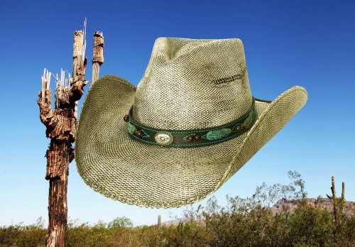 画像クリックで大きく確認できます　Click↓1: ブルハイド ウエスタン ストローハット（ランページ）/BULLHIDE Western Straw Hat Rampage