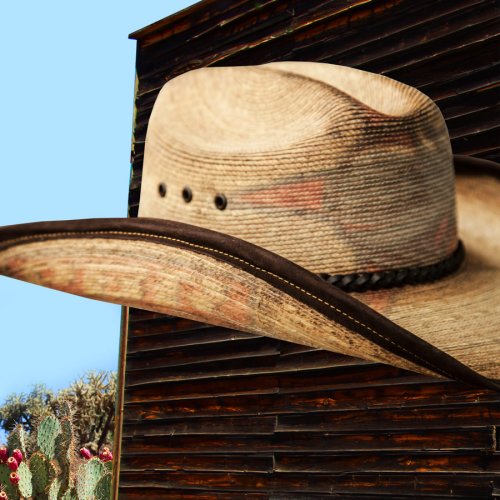 画像クリックで大きく確認できます　Click↓2: PBR プロフェッショナル ブルライダース ストロー カウボーイ ハット（ナチュラル・ブラウン）ラージサイズ61cm〜63cm/PBR Cowboy Hat(Natural/Brown)