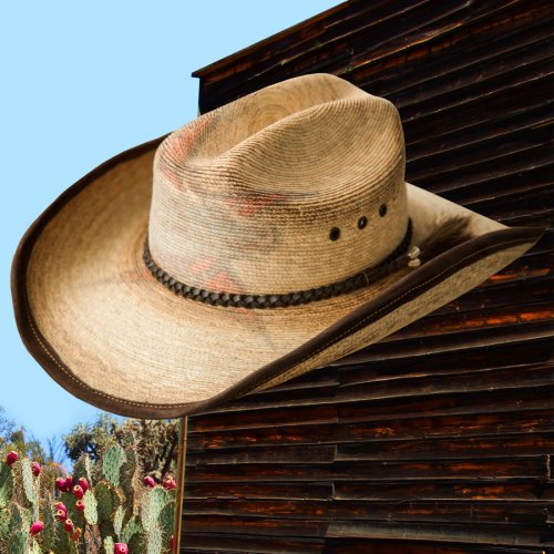 画像クリックで大きく確認できます　Click↓1: PBR プロフェッショナル ブルライダース ストロー カウボーイ ハット（ナチュラル・ブラウン）ラージサイズ61cm〜63cm/PBR Cowboy Hat(Natural/Brown)