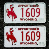 アメリカ ワイオミング州 ナンバープレート・カーライセンスプレート 同番2枚セット/Wyoming License Plates