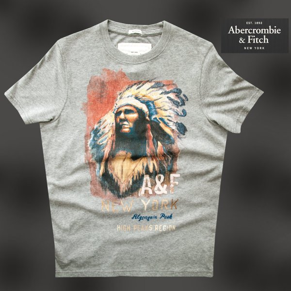 画像1: アバクロンビー＆フィッチ 半袖 Tシャツ （インディアン・グレー）/Abercrombie&Fitch T-shirt
