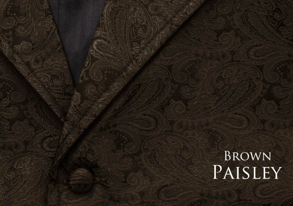 画像2: スカリー オールドウエスト ペイズリー ベスト（ブラウン）/Scully Old West Paisley Vest(Brown)