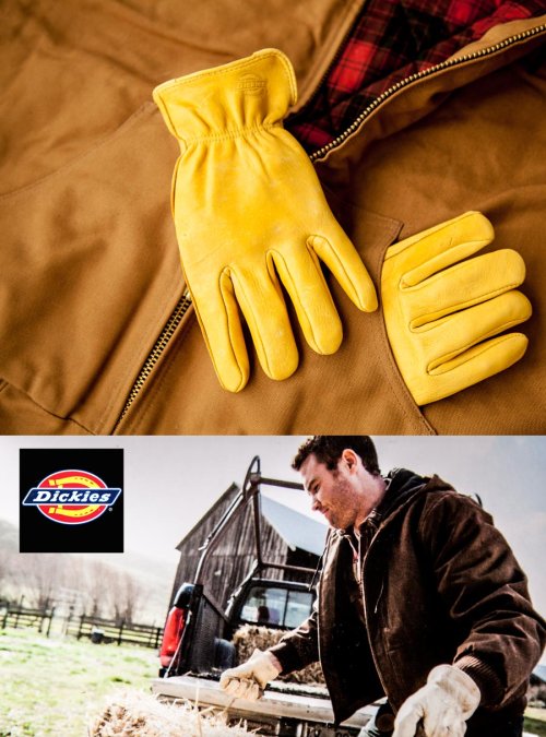 画像クリックで大きく確認できます　Click↓2: ディッキーズ 鹿革手袋 パインイエロー（裏地なし）M/Dickies Genuine Deerskin Leather Gloves(Pine Yellow)