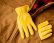 画像2: ディッキーズ 鹿革手袋 パインイエロー（裏地なし）M/Dickies Genuine Deerskin Leather Gloves(Pine Yellow) (2)