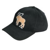 ハットレイ ムース アップリケキャップ・ブラック（キッズ）/Hatley Kids Applique Cap