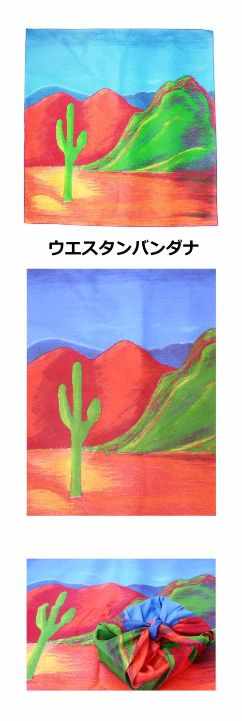 画像クリックで大きく確認できます　Click↓1: ハバハンク HAV-A-HANK ウエスタン バンダナ サボテン/Bandana Cactus