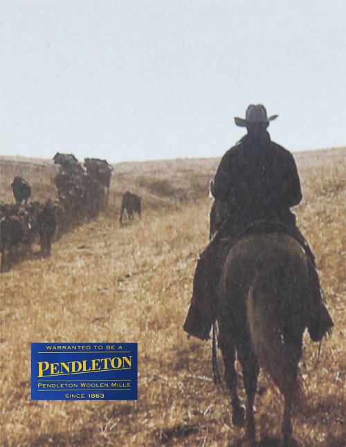 画像クリックで大きく確認できます　Click↓3: ペンドルトン ウエスタンシャツ（オックスフォードグレー・セージ）S/Pendleton Western Shirt(Oxford Grey/Sage Ombre)