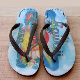 アメリカンイーグルアウトフィッターズ ビーチサンダル ハワイ（メンズ）/AE Flip Flop Hawaii（Mens)