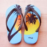 アメリカンイーグルアウトフィッターズ ビーチサンダル パームツリー（メンズ）/AE American Eagle Outfitters Flip Flop Palm Tree（Mens)