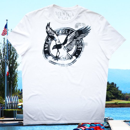 画像クリックで大きく確認できます　Click↓1: アメリカン イーグル アウトフィッターズ 半袖 Tシャツ（ホワイト・イーグル）L/American Eagle Outfitters T-shirt