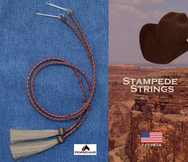 画像2: ハット用 あごひも レザー&ホースヘアー アメリカン ウエスタン スタンピード ストリングス ブラウン2色・ナチュラル/Leather w/horse Hair Stampede Strings