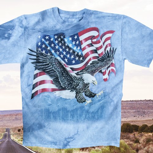 画像クリックで大きく確認できます　Click↓1: アメリカンイーグル＆星条旗 半袖Tシャツ（ライトブルー）/T-shirt