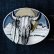 画像2: バッファロースカル&フェザー ネイティブ サウスウエスト ベルト バックル/Buffalo Skull&Feathers Belt Buckle (2)