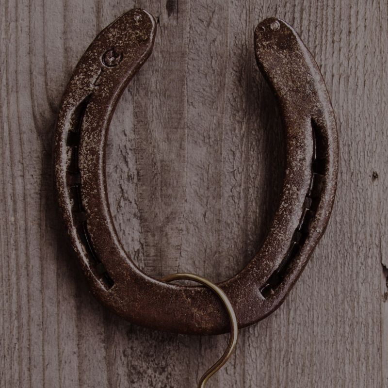ホースシュー 蹄鉄/Horse Shoe カウボーイホーム インテリア ウォールデコ/Wall