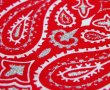 画像3: バンダナ ハバハンク HAV-A-HANK ペイズリー（レッド・ホワイト）/Bandana Paisley Red White