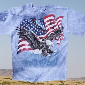 画像: アメリカンイーグル＆星条旗 半袖Tシャツ（ライトブルー）/T-shirt