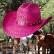 画像1: ブルハイド ウエスタン ストローハット イッチィグーニー（フクシャピンク）/Bullhide Western Straw Hat Itchygoonie(Fuchsia)