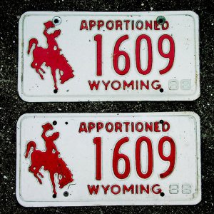 画像: アメリカ ワイオミング州 ナンバープレート・カーライセンスプレート 同番2枚セット/Wyoming License Plates