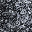 画像1: カウボーイ 大判スカーフ ワイルドラグ ペイズリー ブラック/100% Silk Wild Rags(Paisley/Black)