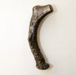 画像2: 取っ手 キャビネットハンドル ブラス 鹿の角デザイン/Antler Cabinet Handle(Brass)