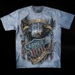 画像1: アメリカンイーグル＆星条旗 ARMED FORCES 半袖Tシャツ（ライトブルー）S/American Eagle/U.S.A Shortsleeve T-shirt 