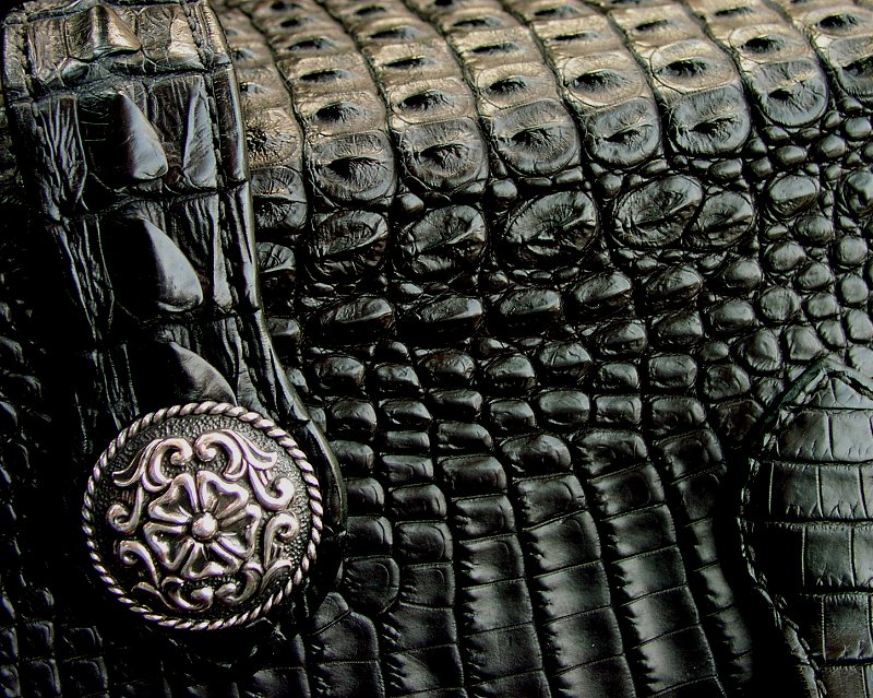 画像: ファニー ライダースウォレット（ホーンバックナイルクロコダイル・ブラック/VICTOR37MM・SLOW265000）/Funny Rider's Wallet(Horn Back Nile Crocodile・Black/925Silver)