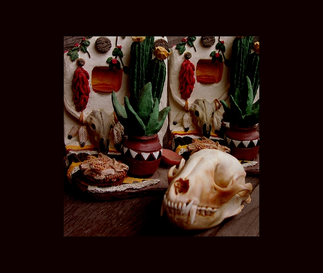 画像: ラクーン スカル/Raccoon Skull