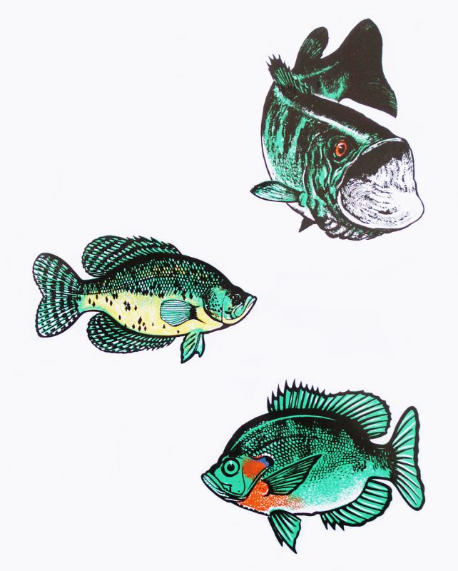 画像: アウトドア仕様 防水ステッカー Bass Crappie Bluegill