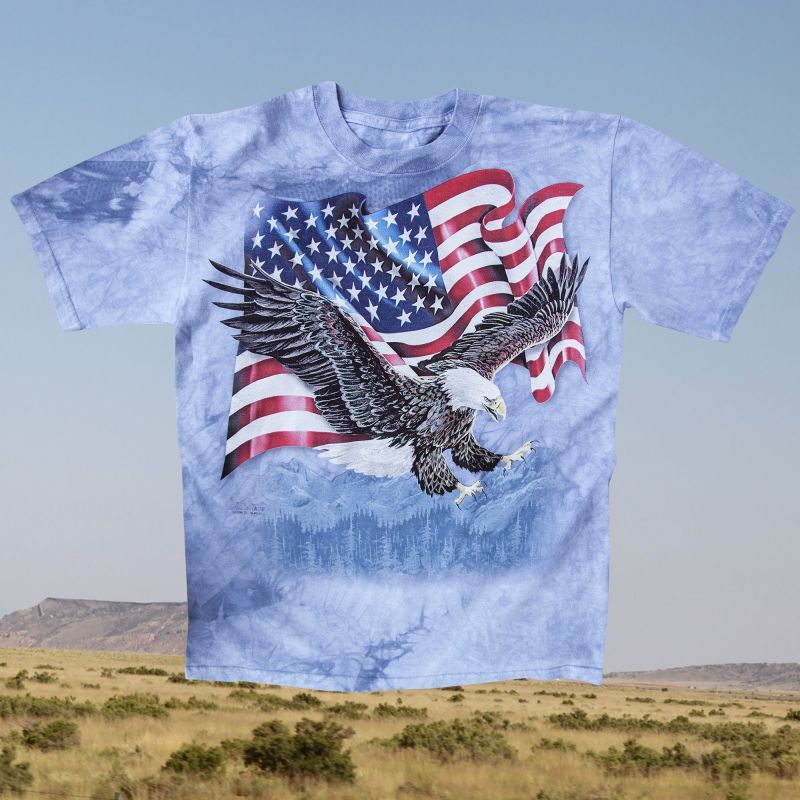 画像: アメリカンイーグル＆星条旗 半袖Tシャツ（ライトブルー）/T-shirt