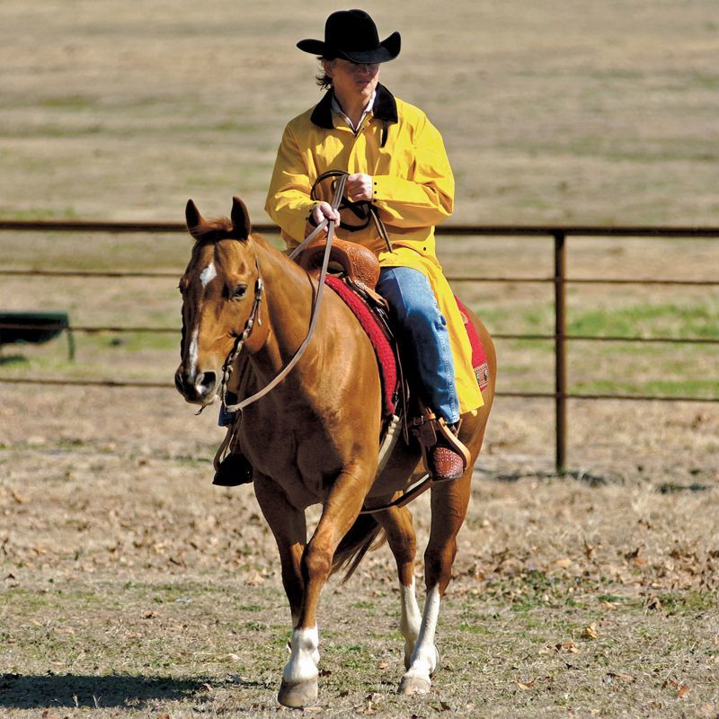 画像2: サドルスリッカー・乗馬用レインコート（イエロー）/M&F Western Products Double S Saddle Slicker(Yellow)