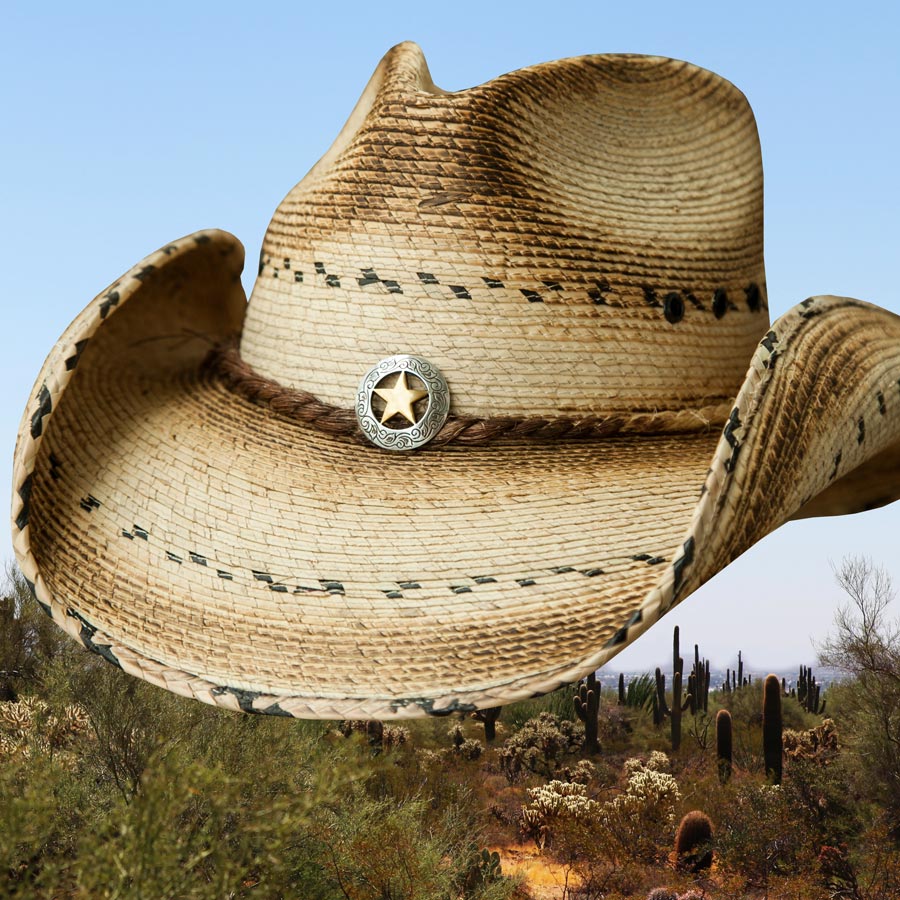 画像3: スター＆パーム ウエスタン ストローハット（ナチュラル）/Western Straw Hat（Natural)