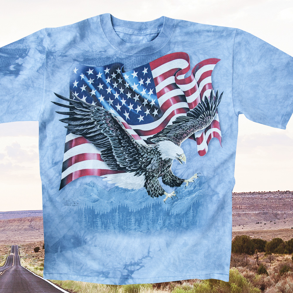 画像1: アメリカンイーグル＆星条旗 半袖Tシャツ（ライトブルー）/T-shirt